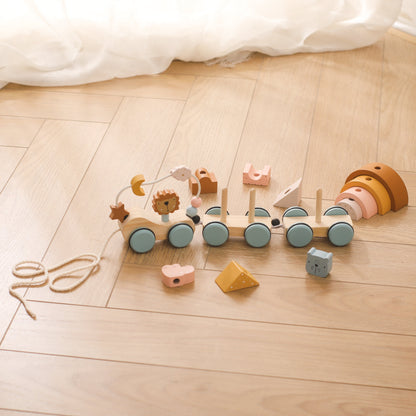 Steckspielzug aus Holz